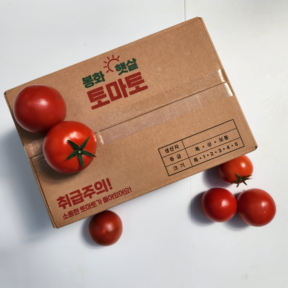 로토정 토마토 2.5kg(1-2번사이즈) 완숙토마토 - 상품 이미지
