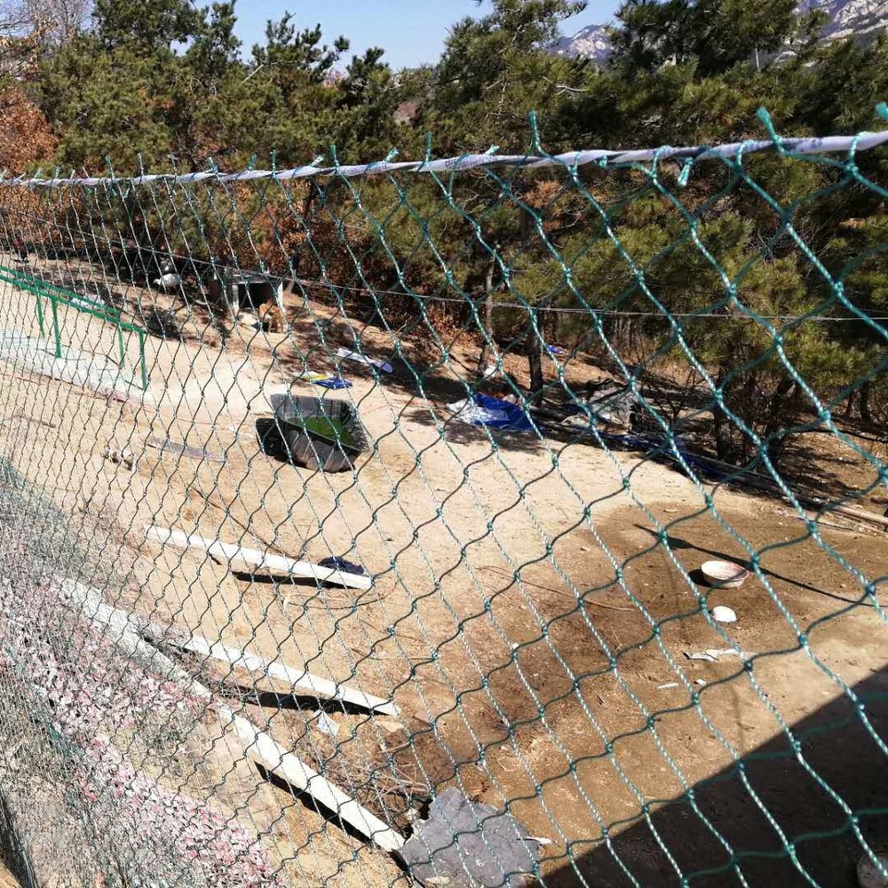 사육장 해태망 나일론 고강도 그물망 튼튼한 그린 야외용 광폭 울타리망 휀스 닭장망 방조망 - 상세 이미지 2