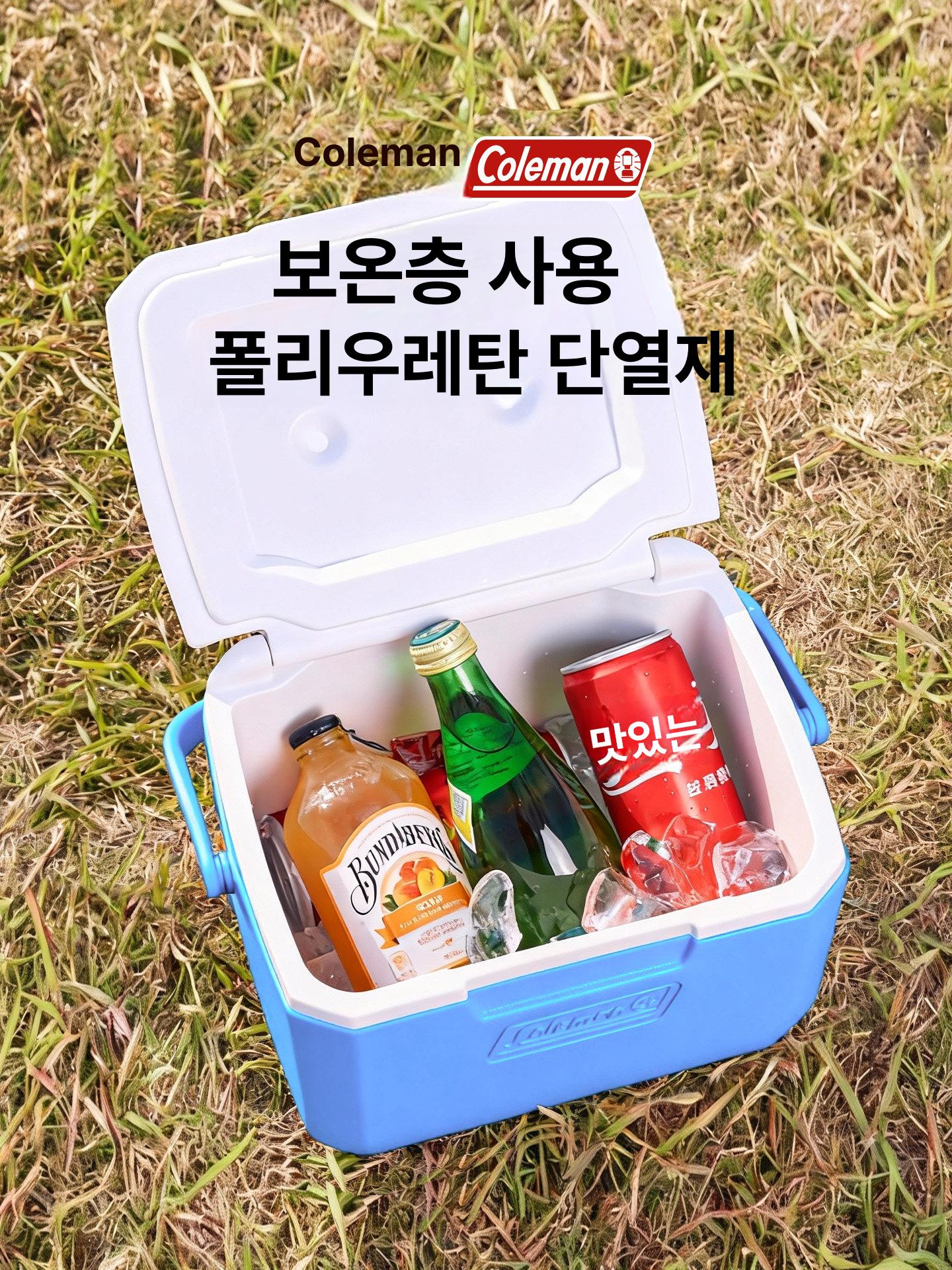 아이스박스 견고한 플라스틱 캠핑 피크닉 야외 휴대용 소형 글레이셔 블루 - 상세 이미지 3