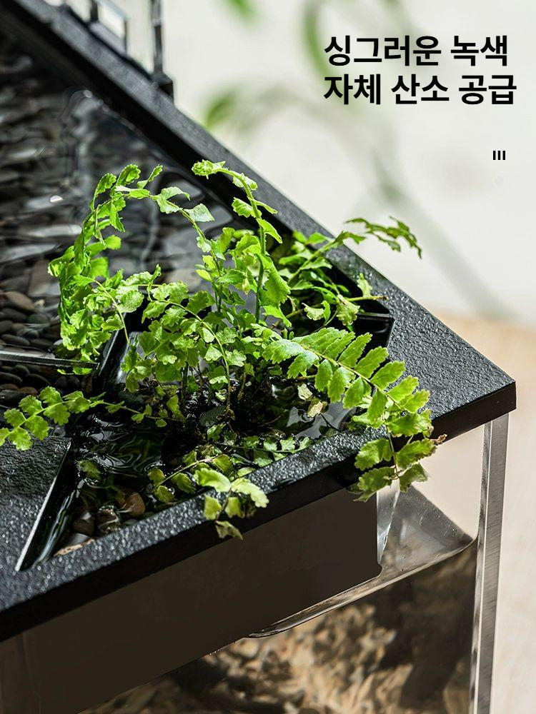 소형 아크릴 수족관 투명 인테리어 거북이 가정용 대형 탱크 열대어 키우기 거실 해파리 생태 - 상세 이미지 4