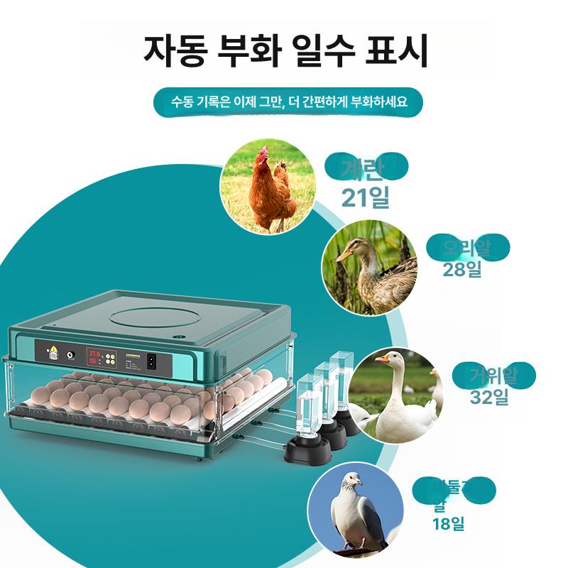 병아리 자동 부화기 키우기 오리 달걀 육추기 스마트 36알 전자동 단일 전원 + 날짜 표시 - 상세 이미지 5