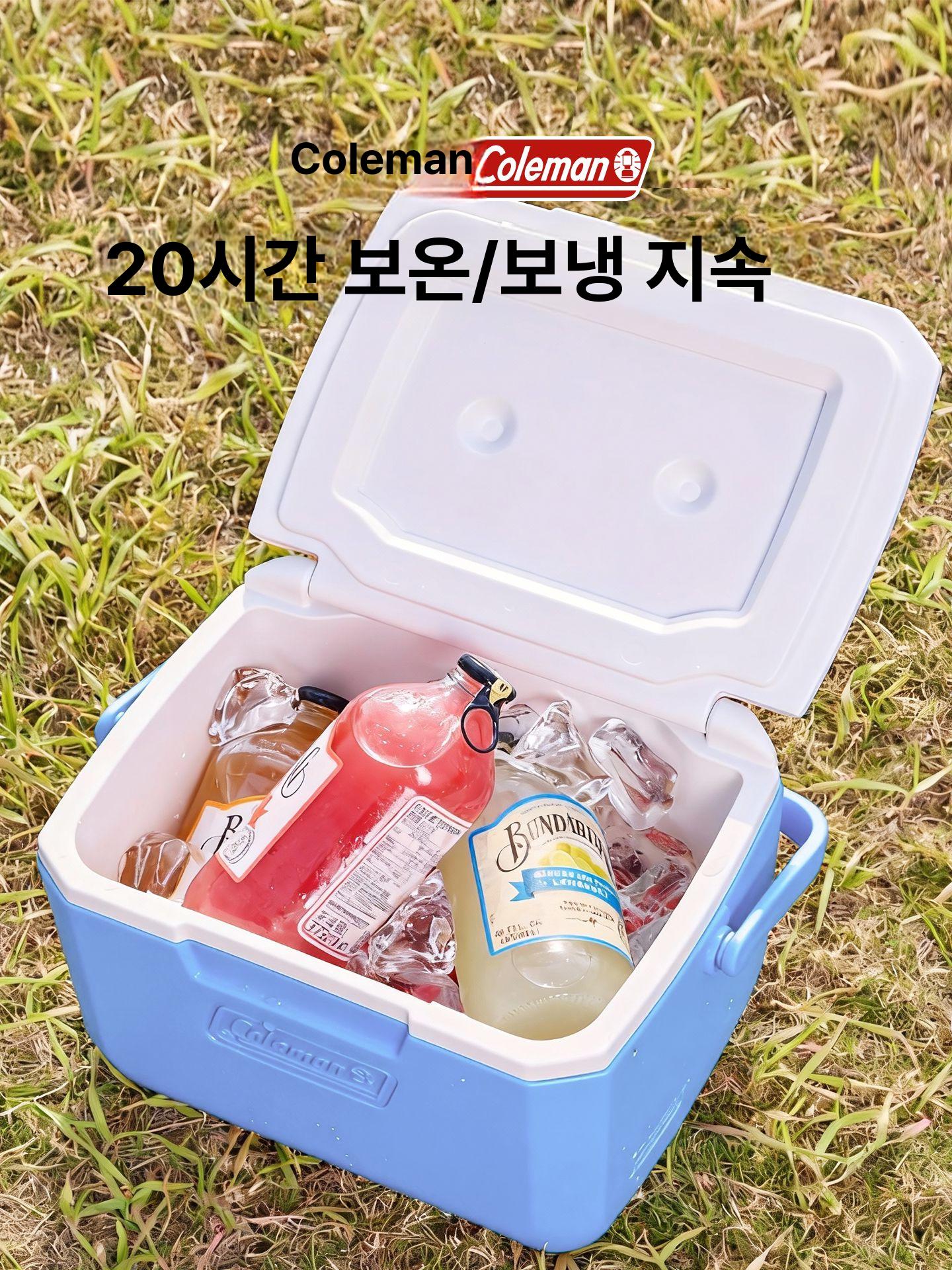 아이스박스 견고한 플라스틱 캠핑 피크닉 야외 휴대용 소형 글레이셔 블루 - 상세 이미지 2