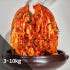플래노프 서울 중부식 프리미엄 포기김치(예약주문) / 김장 포기 고랭지 ... 맛있게 먹은 솔직 후기 썸네일
