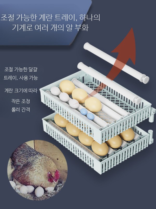 계란부화기 완전자동 닭 오리 거위 부화기 온도조절 가정용 부화용품 - 상세 이미지 5