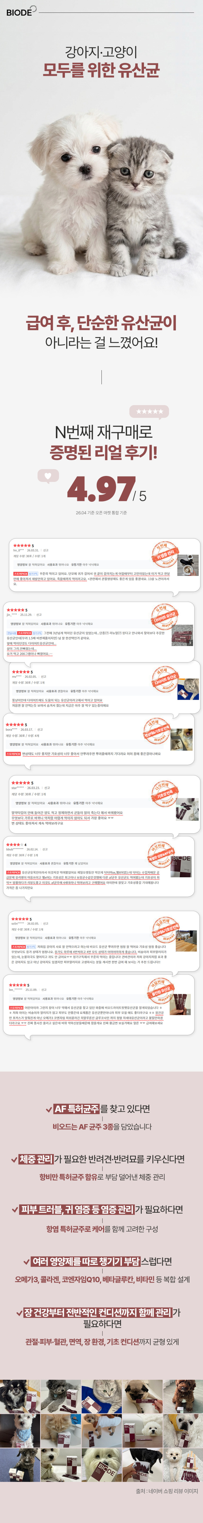 비오드 프리미엄 차세대 강아지유산균 AF균주 장건강 프로바이오틱스 항비만 30포, 1개 판매처 상세 정보 이미지 4