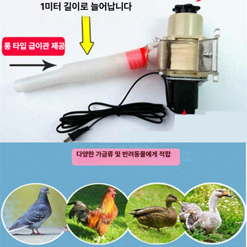 닭 오리 비둘기 거위 인큐베이터 조류 메추리 가금류 계란 전자동 공작 양계장 모이통 먹이 - 상세 이미지 4