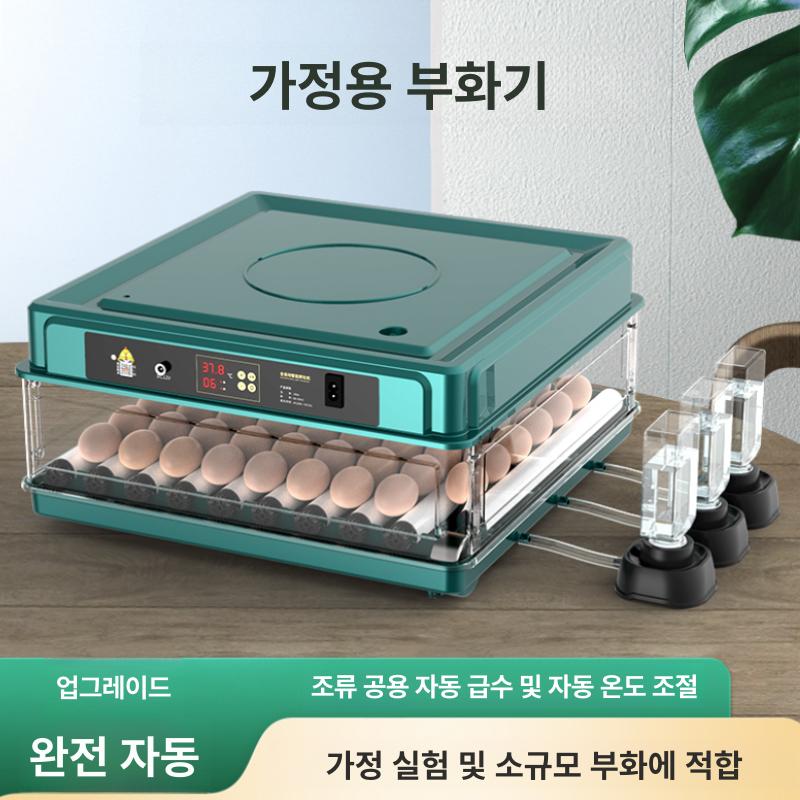 병아리 자동 부화기 키우기 오리 달걀 육추기 스마트 36알 전자동 단일 전원 + 날짜 표시 - 상세 이미지 3