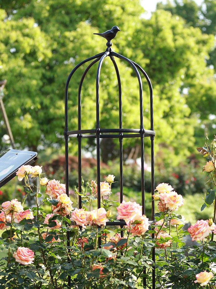 장미오벨리스크 신형 철제 넝쿨지지대 울타리 포도 덩굴 넝쿨 테라스 펜스 아치 지주대 - 상세 이미지 4