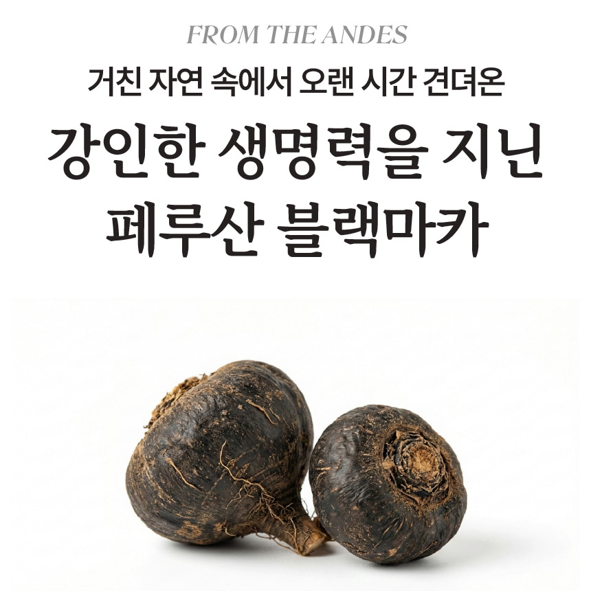 페루산 블랙마카 분말 효능 100% 안데스 블랙마카가루 130g 젤라틴화 - 상세 이미지 5