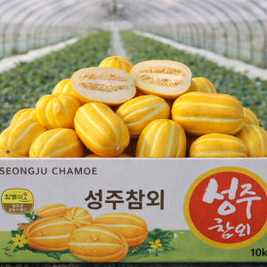 성주참외 제철 꼬마참외 10kg 5kg 특품 가정용 맛있게 먹은 솔직 후기 - 상품 이미지 4
