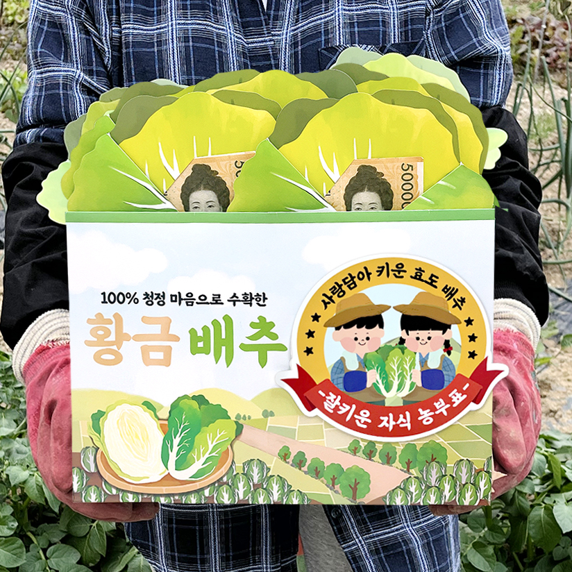 황금배추 용돈박스 돈 이벤트 부모님 축하 머니박스 칠순 팔순 추석 행사 명절 기념일 이미지 6