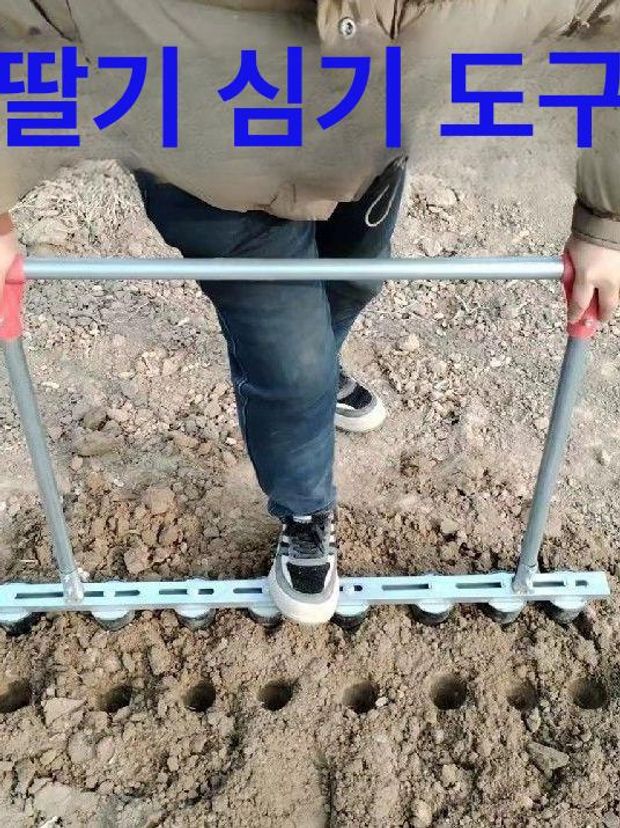 파종기 심는 기계 심기 줄 작물 자동 가솔린 모종기 무압력 옥수수 모종 씨앗시기 - 상세 이미지 5