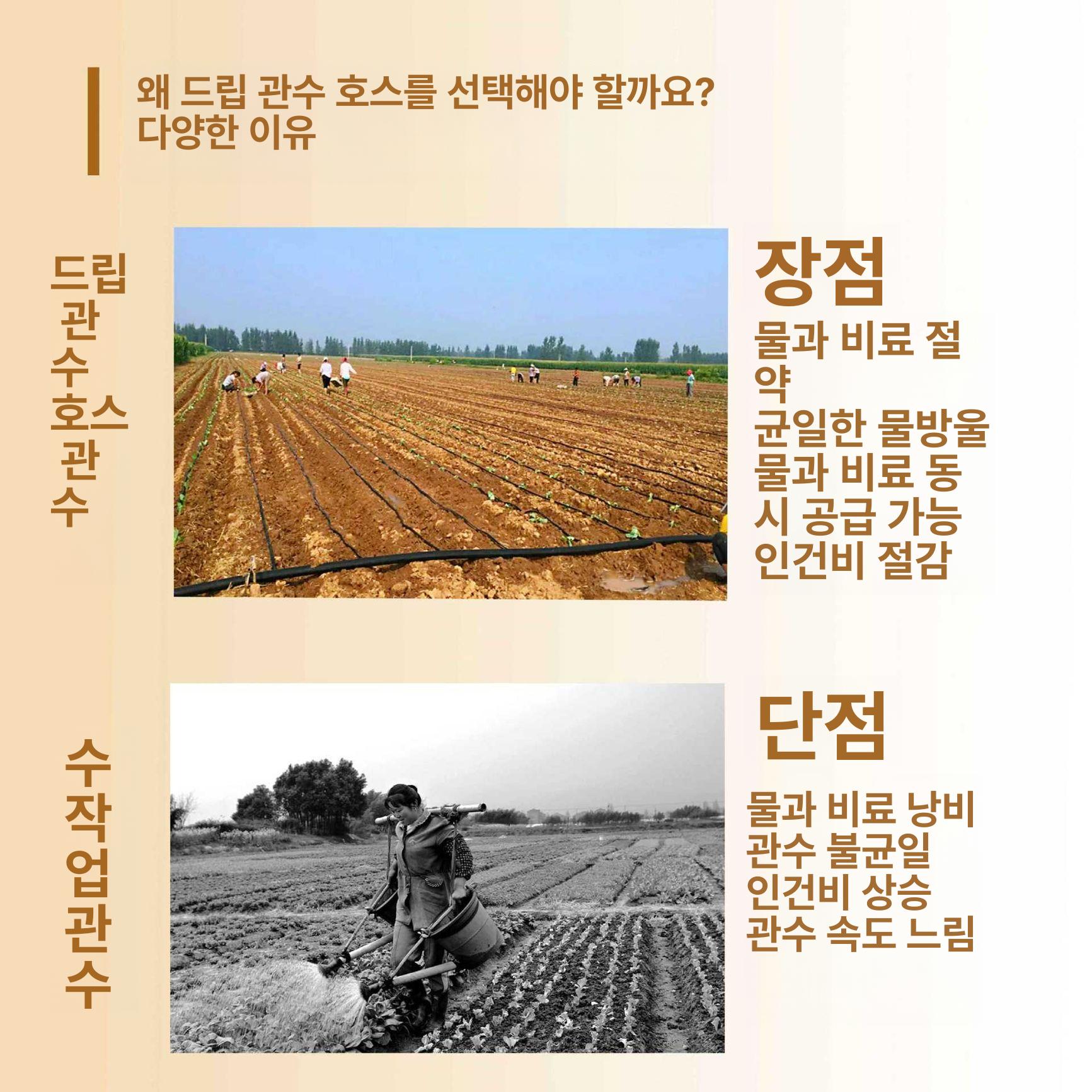 농업용 점적호스 분수 PVC 재질 온실 텃밭 작물 재배용 릴타입 관수자재 단일 구멍 맞춤 제작 가능 (이중 홀) 0.2mm 30cm 2000m - 상세 이미지 3