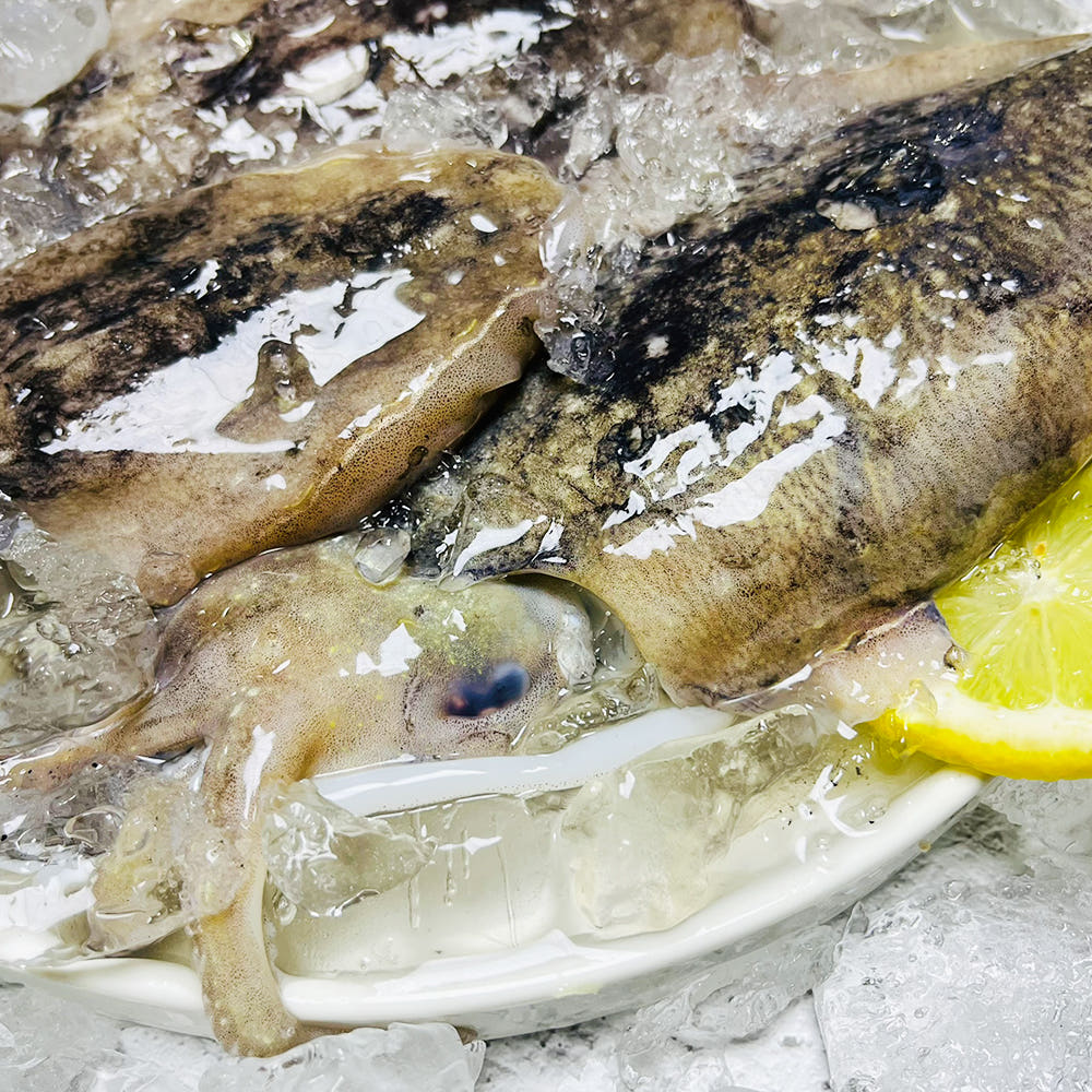 제철 생물 갑오징어 1kg (9,400원/4,000원)