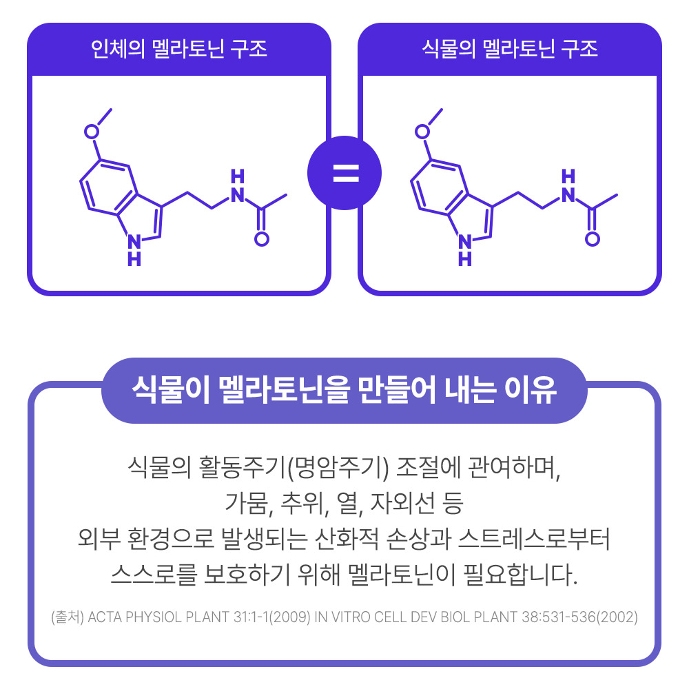 [신제품] 헬씨허그 식물성 멜라토닌 5mg 함유 프리미엄 고함량 30정, 1개 이미지 6