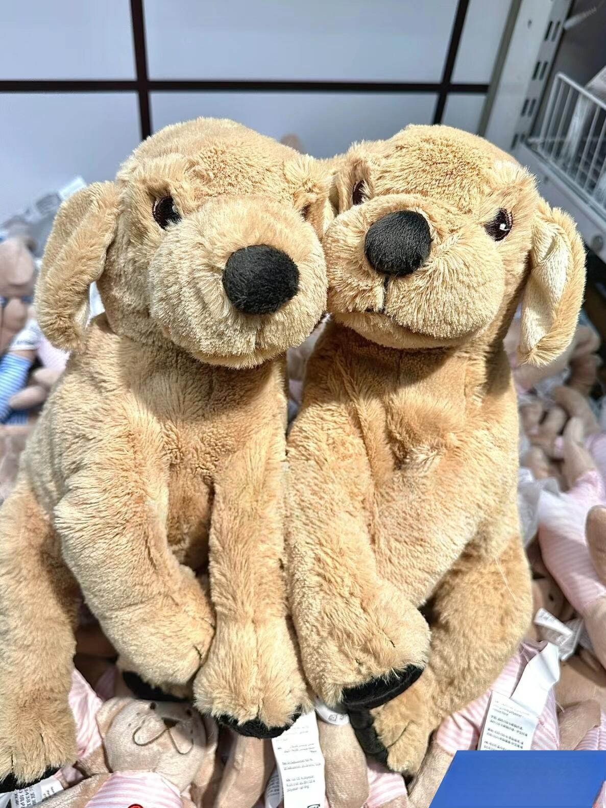온라인몰 고시그 골덴 인형 강아지/골든리트리버 70 cm 301.693.42 고급형 내구성 강화 - 상세 이미지 3