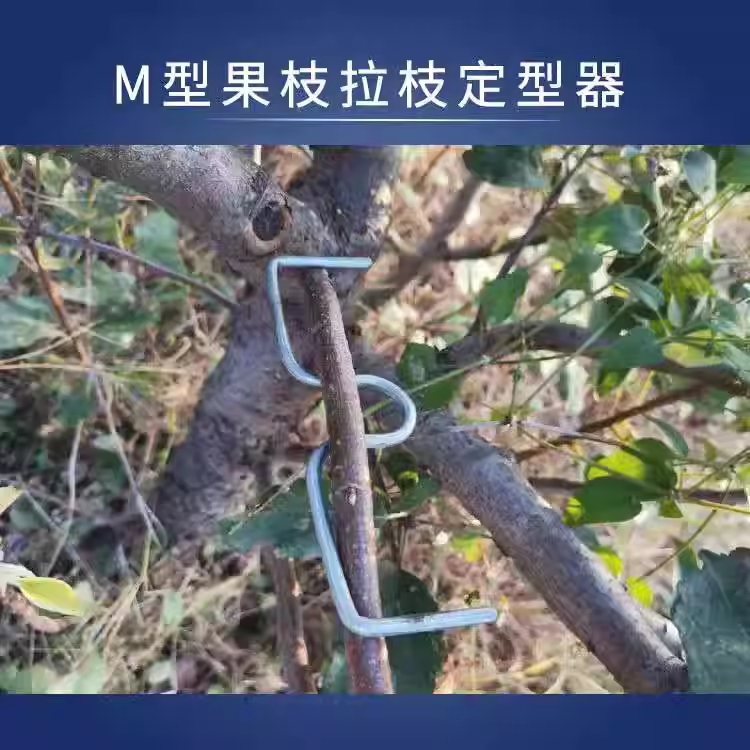 나무 가지 교정기 분재 소나무 후크 구부리기 사과 - 상세 이미지 5