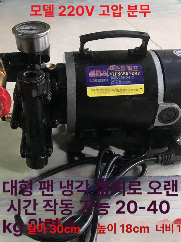 휴대용 엔진양수기 펌프 강력 전기 고압 플런저 미니 분무기 세차 농업용 살수 황동 12V (12V 배터리용) - 상세 이미지 4