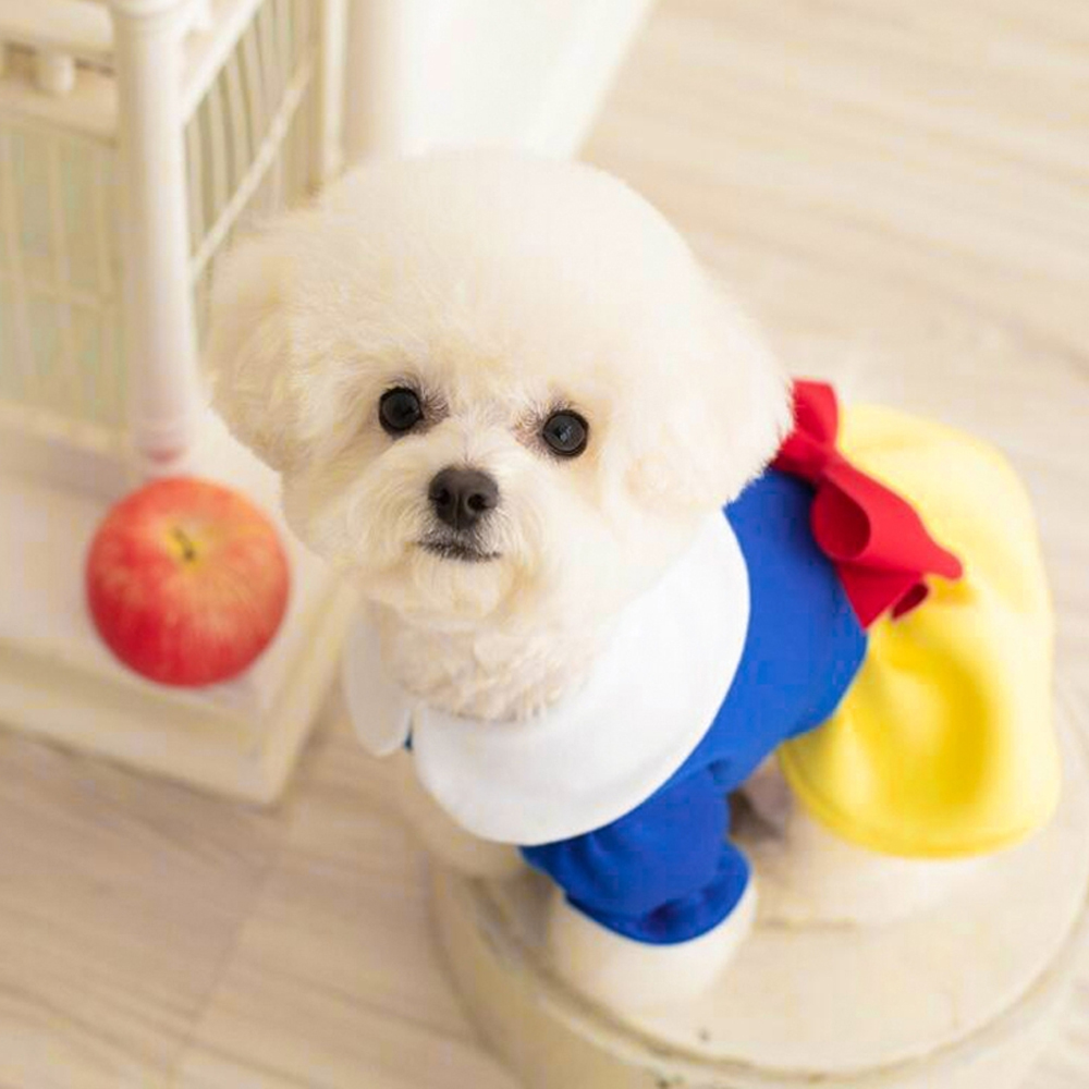 강아지 크리스마스 코스튬 추천 웃긴 파티용 겨울 모자 신발 리뷰