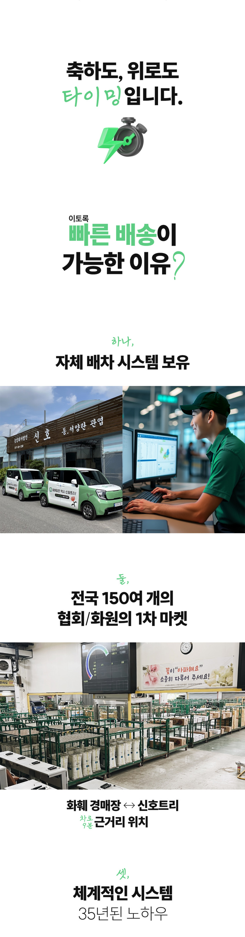 서양란 주황계열 영전 승진 취임 개업화분 호접란 축하난 고급 식물선물 공기정화 감사 쌍대3 판매처 상세 정보 이미지 4