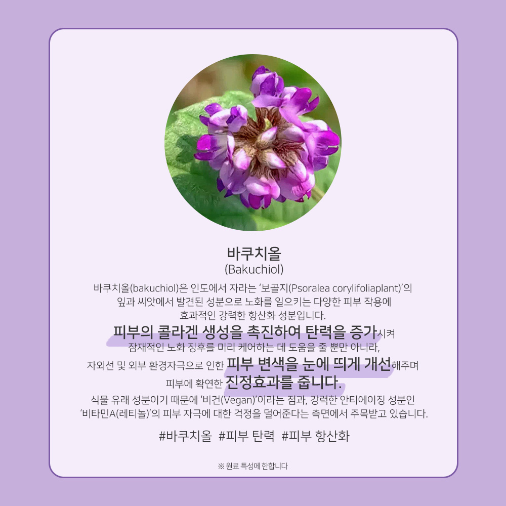 맑을담 바쿠치올 10000ppm 원액 액상 30ml - 상세 이미지 2