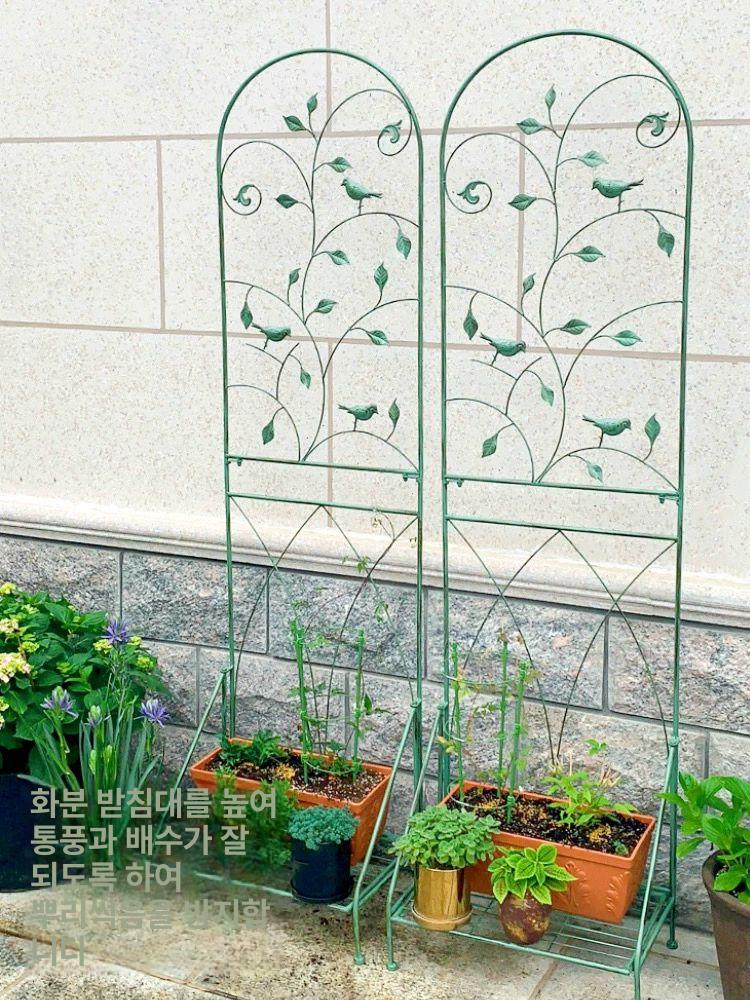 펜스 정원 아치 식물지지대 조경 지주대 A 화이트 장미 대형 화이트 - 상세 이미지 4