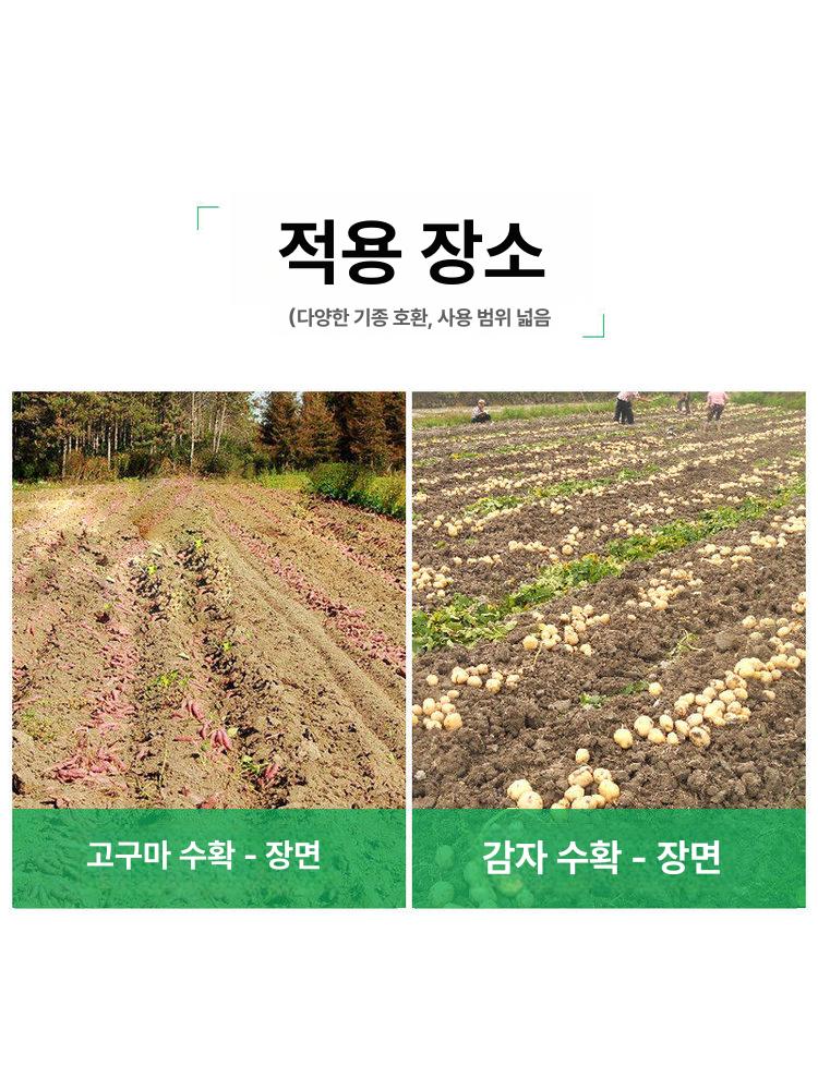 땅속 관리기 고구마캐기 트랙터 감자 쟁기 경운기 땅속작물수확기 수확기 캐기 트렉터 작물 - 상세 이미지 4