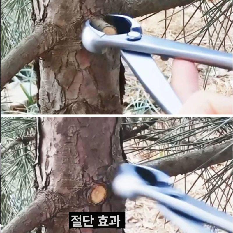 대형 분재 가위 나뭇 혹 과수원 조경 펜치 원예용 탄소강 스테인레스 양손 식물용 - 상세 이미지 4