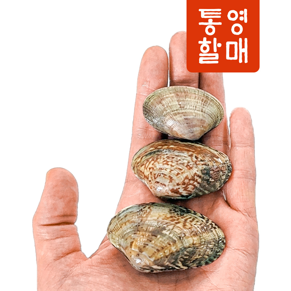 산청할매 왕바지락 2kg 2개이상 구매시 칼국수200G 지급 개별포장 상품 이미지