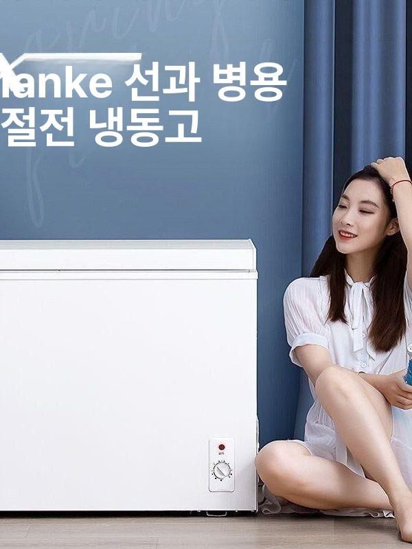 절약형 미니 김치냉장고 원룸 서랍식 김냉 사무실 모델 효율 스탠드형 술장고 - 상세 이미지 4
