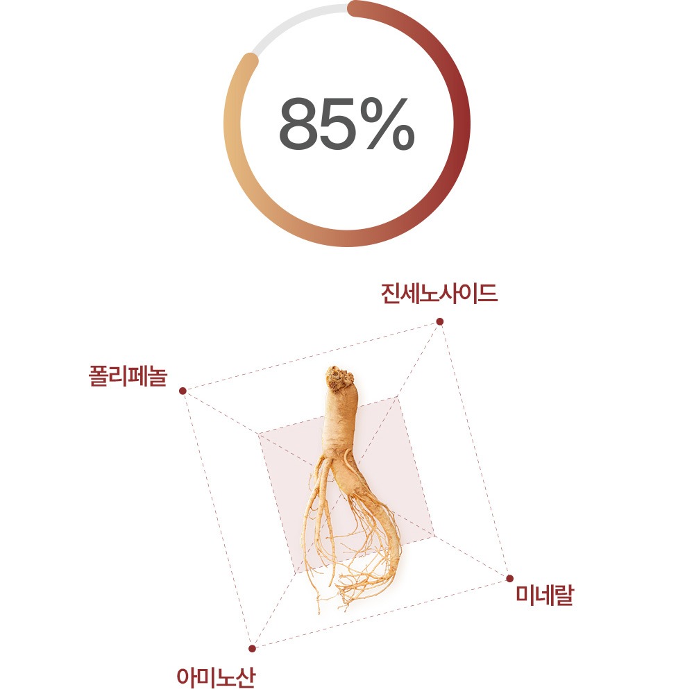 산양삼 추출물 효능 600mg x 120정 이미지 6