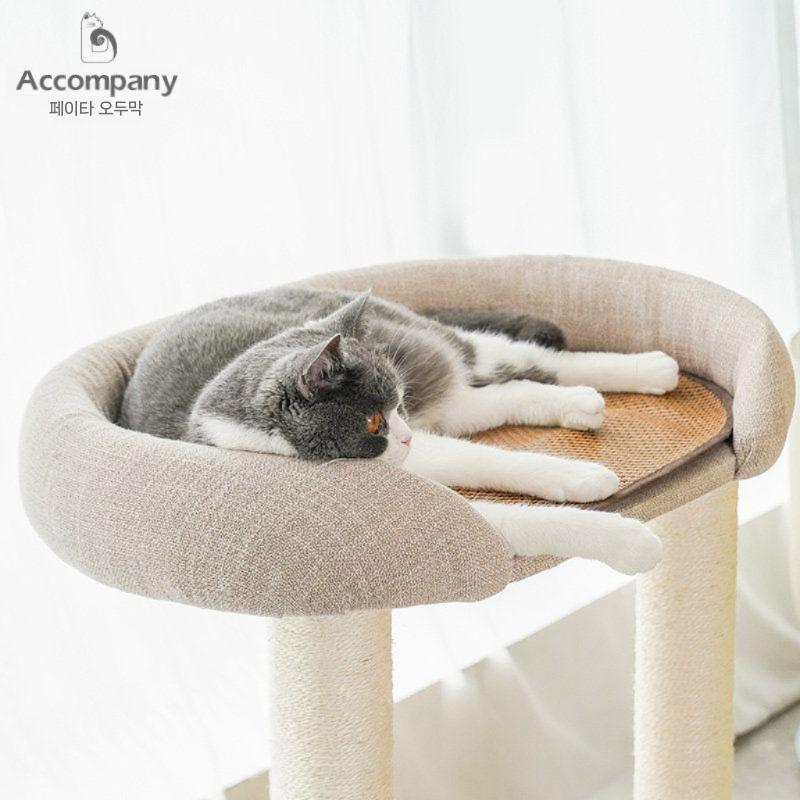고양이 소형 숨숨집 텐트 원목 애견 스크래쳐 길냥이 쿠션 펠트 침대 집 - 상세 이미지 2