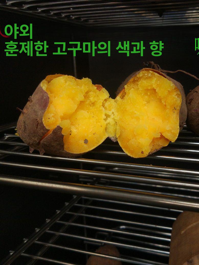 훈연그릴 야외 가스 캠핑용 이동식 직립형 스탠드 튼튼한 메탈 철제 온도조절 대용량 바베큐 블랙 차콜 버전 - 상세 이미지 2