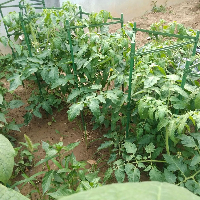 삼각 텃밭지지대 넝쿨지지대 코팅스틸 견고한 피라미드 조립식 주말농장 오이 방울토마토 고추 - 상세 이미지 4