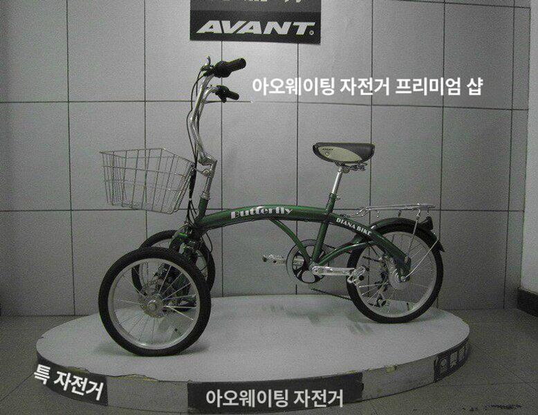 역삼륜 자전거 성인용 접이식 저상형 알루미늄 합금 프레임 앞바구니 뒷짐받이 다단변속 와이드 펫 비변속 앞바퀴 기울기 없음 - 상세 이미지 3