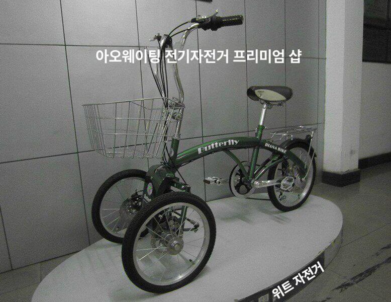 역삼륜 자전거 성인용 접이식 저상형 알루미늄 합금 프레임 앞바구니 뒷짐받이 다단변속 와이드 펫 비변속 앞바퀴 기울기 없음 - 상세 이미지 4