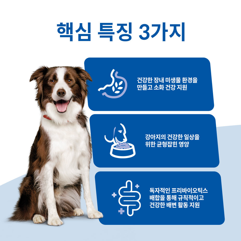 강아지사료 어덜트 강아지사료 힐스 퍼펙트 다이제스천 연어사료 강아지사료 추천