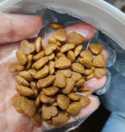 보나시보 슈퍼 프리미엄 고양이 건식 사료 키튼_치킨엔초비_라이스, 1.5kg, 1개 이미지 7