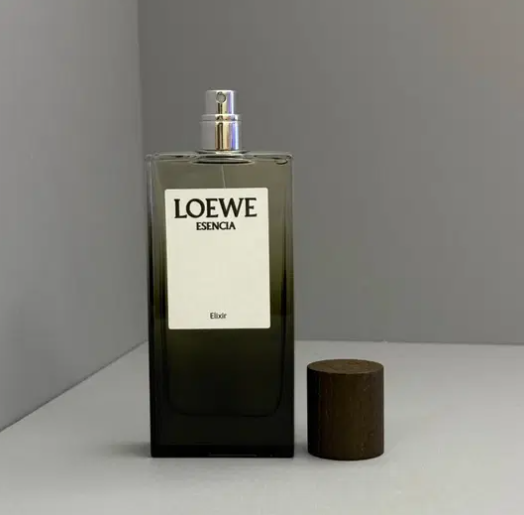 로에베 남자향수 에센시아 오 드 퍼퓸 남성선물 출근향수 100ml - 상세 이미지 2
