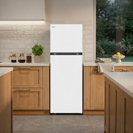 [LG전자]LG 일반냉장고 B245W22 원룸 오피스텔 사무실 자취방 241L