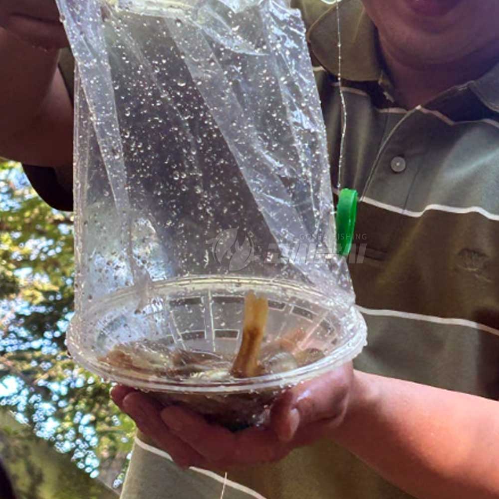 통발 민물어망 고씨낚시 계곡 낚시 물고기 잡기