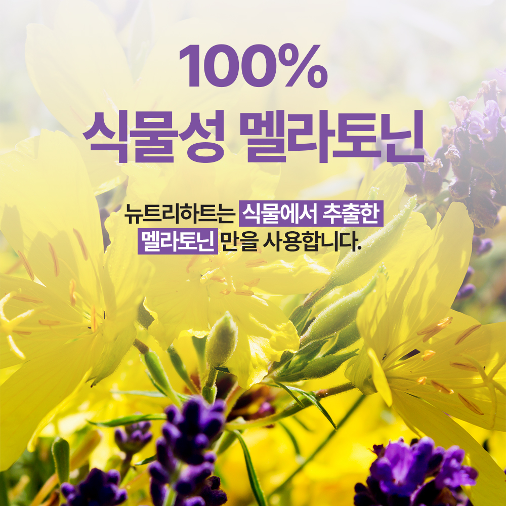 리포좀멜라토닌 식물성 리포좀 피스타치오 타트체리 2중배합 2mg 5mg 테아닌 이미지 2