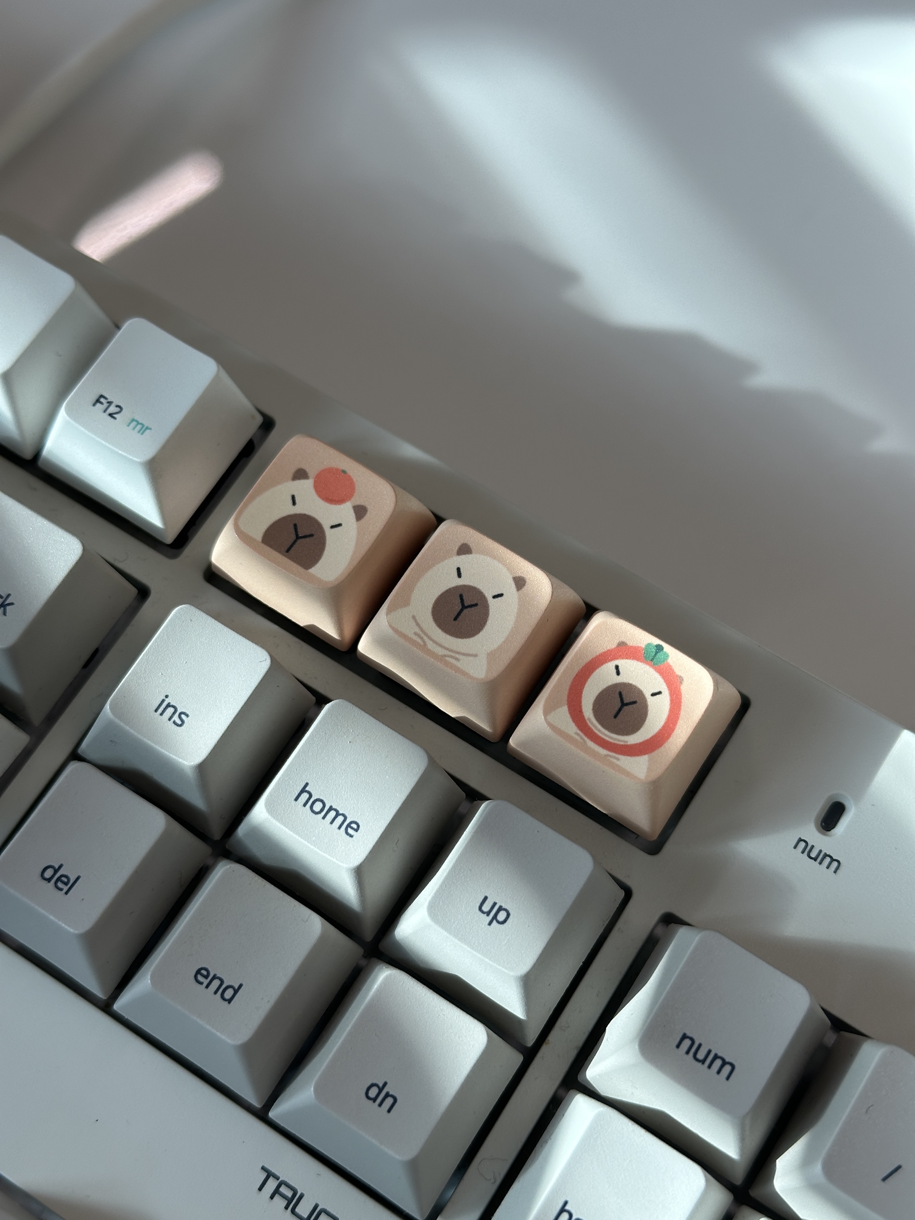 카피뚱바라 ESC 포인트 키캡 귀여운 카피바라 키캡 키링 기계식키보드 BJO 이미지 6
