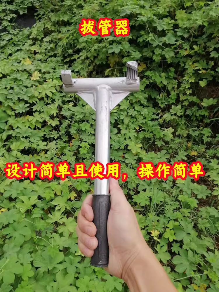 고추대 지지대 아연 홀더 텃밭 고춧대 측량 식물 말뚝 - 상세 이미지 3