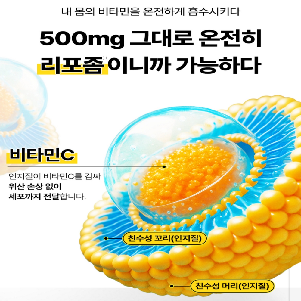 그린디 영국산 리포좀 비타민C 맥스 아연 멀티비타민 분말 30포, 6개 - 상세 이미지 3