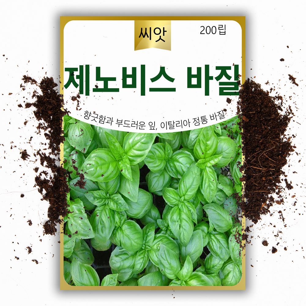 제노비스 바질씨앗 200립 이탈리아 정통 GENOVESE 허브 바실 스위트 키우기 씨앗 - 상품 이미지