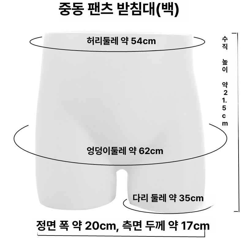 속옷 마네킹 전시 엉덩이 하반신 바지 팬티 스탠드 모델 남자마네킹 피팅 디스플레이 - 상세 이미지 4