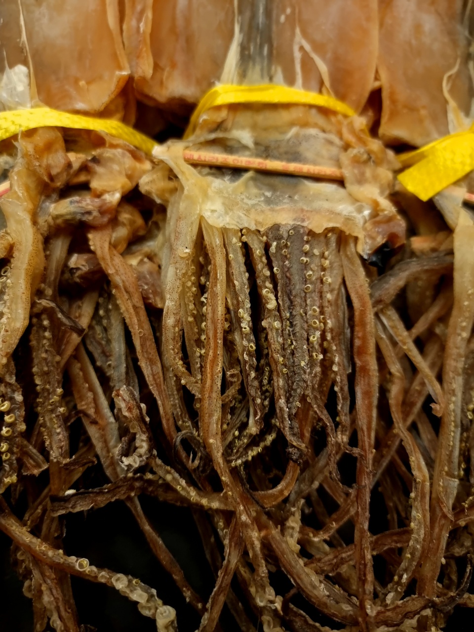 국내 강원도 속초 자연건조 마른오징어 업소용건오징어 (진공포장추가옵션) 120g, 3개 - 상세 이미지 5