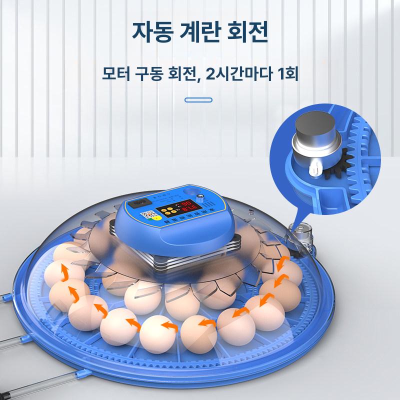 스마트 계란 부화기 메추리 - 상세 이미지 4