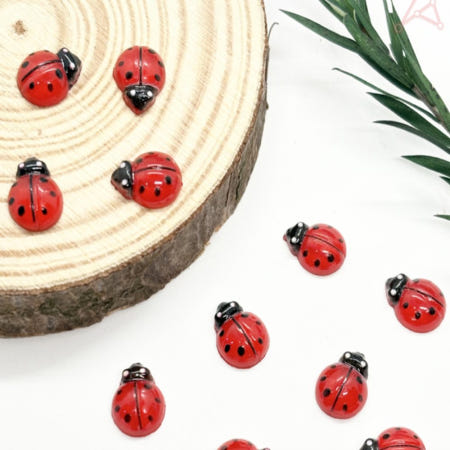 무당벌레 모형 리얼 장난감 10P 벌레모형